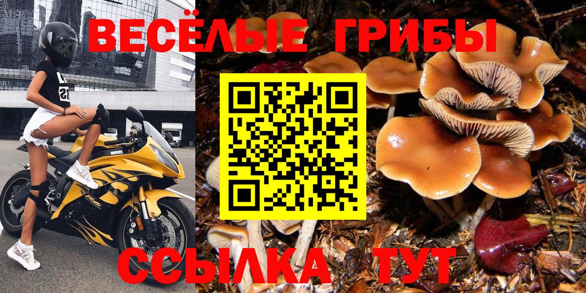 Канабис  Вход с VPN  Мефедрон   МДМА  Михайловск  ГАШ 