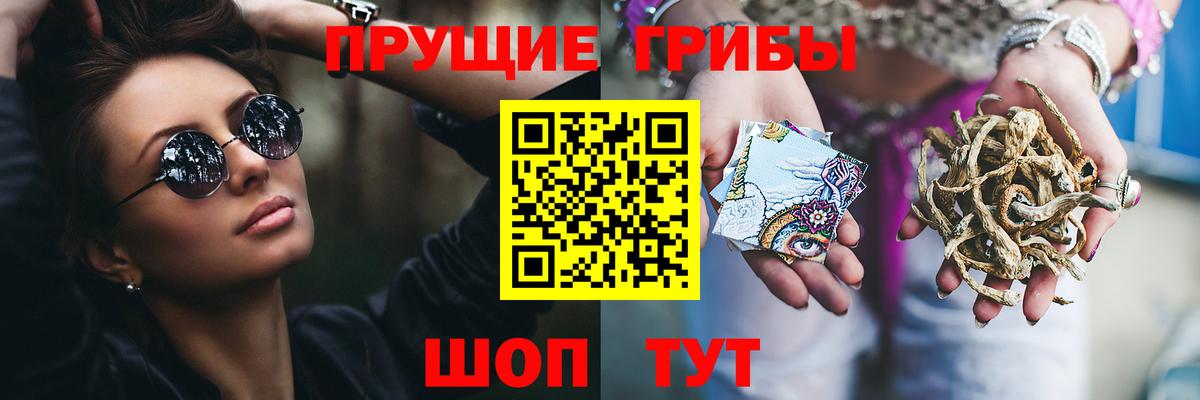 Галлюциногенные грибы Psilocybine cubensis  Вход с VPN  Михайловск  Псилоцибиновые грибы Psilocybine cubensis 